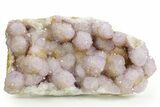 Phenomenal Cactus Amethyst Crystal Cluster - South Africa #364564-1